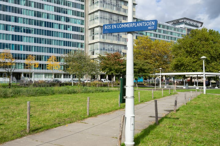 Foto 3 van Bos en Lommerplantsoen 101-L