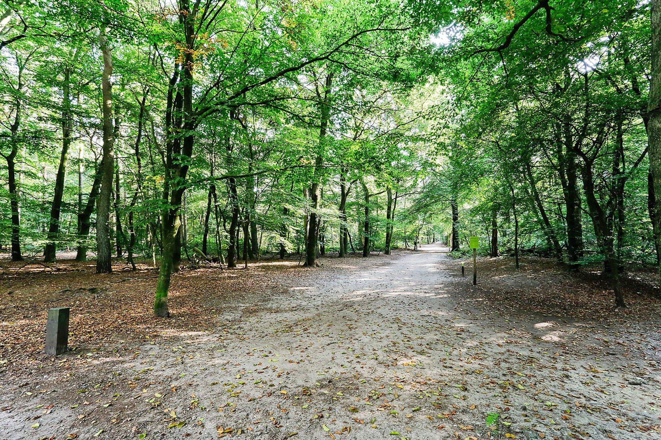 Foto 27 van Kappeyne van de Coppellolaan 143