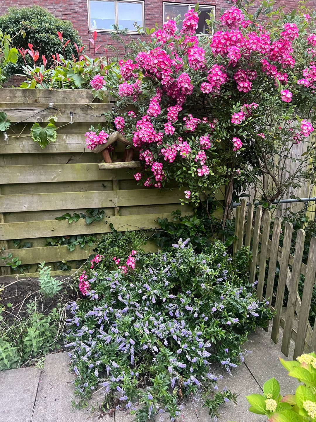 Foto 38 van Polygoongracht 30