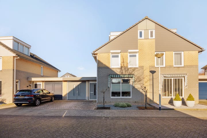 Foto 6 van Paardebloem 32