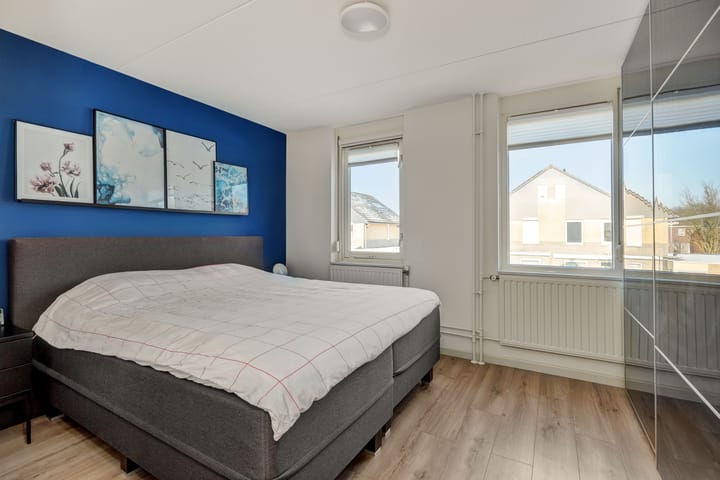 Foto 20 van Paardebloem 32