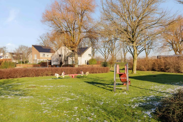 Foto 31 van Paardebloem 32