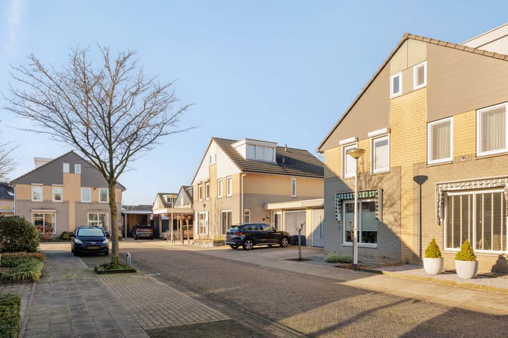 Foto 32 van Paardebloem 32