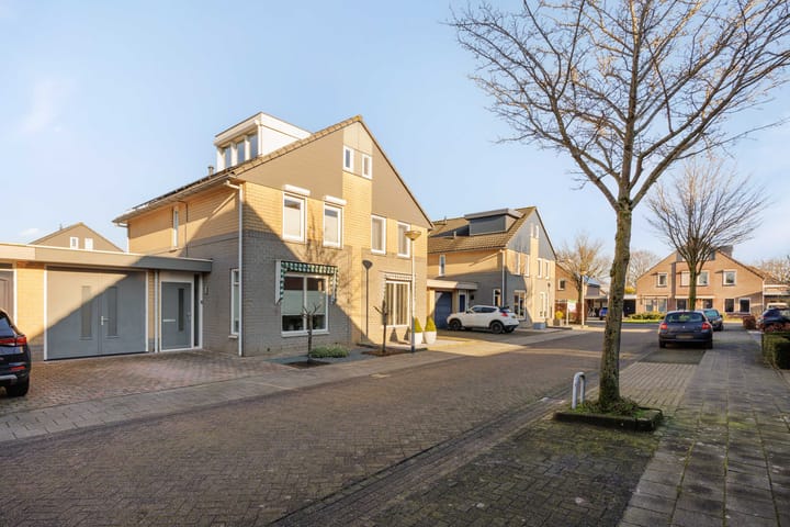 Foto 33 van Paardebloem 32