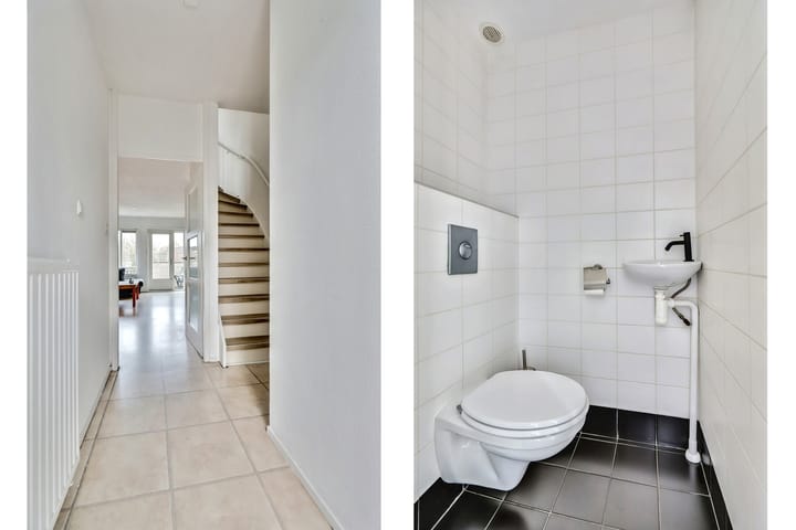 Foto 7 van Antilopespoor 375