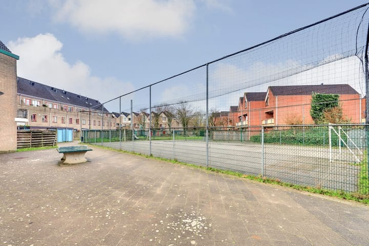 Foto 37 van Antilopespoor 375