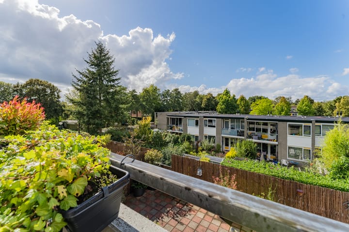 Foto 3 van Dorser 40