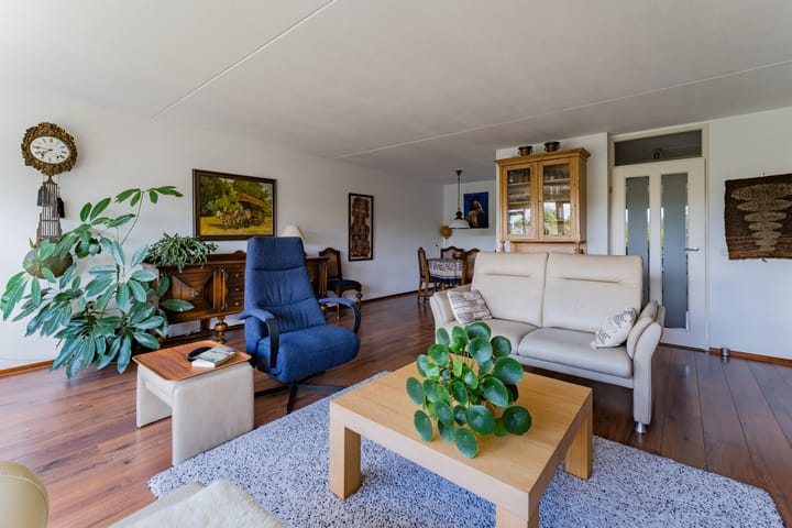 Foto 10 van Dorser 40