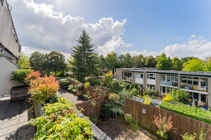 Foto 25 van Dorser 40