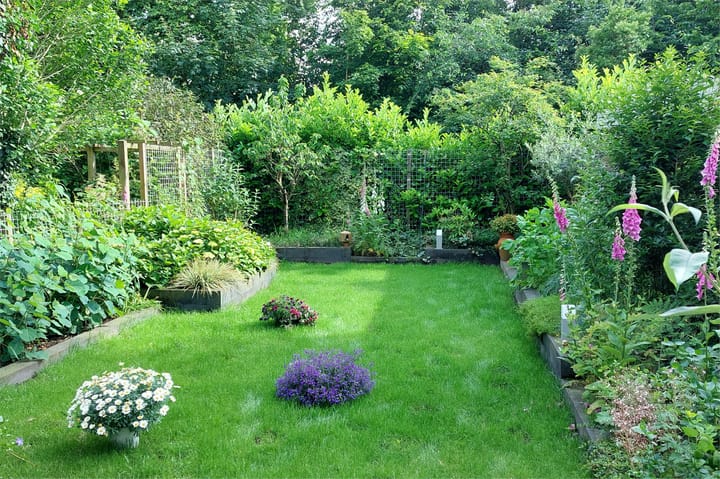 Foto 32 van Terberghorst 9