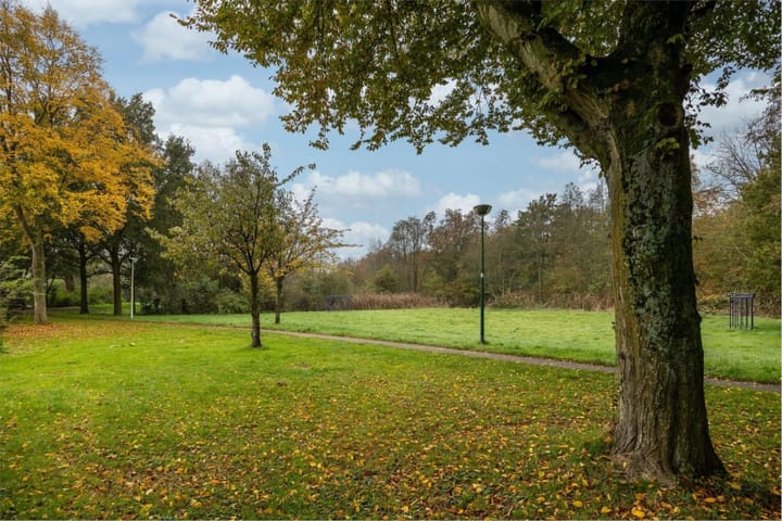 Foto 40 van Terberghorst 9