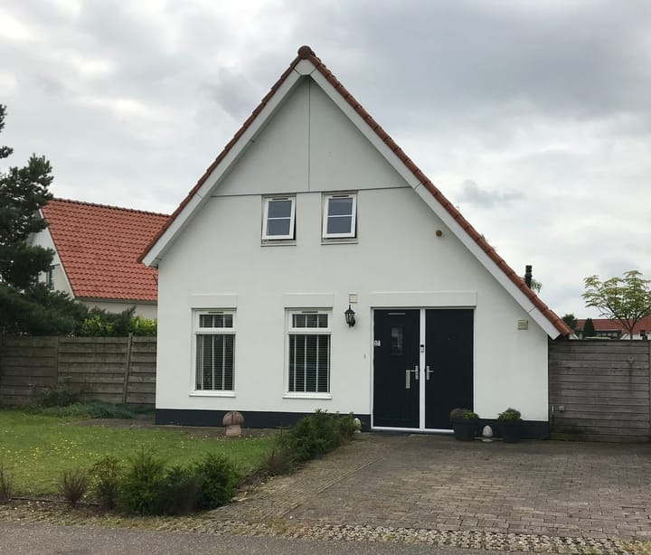 Photo 1 of Zilvermeeuw 27