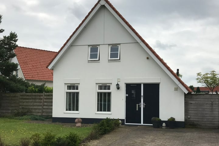 Zilvermeeuw 27