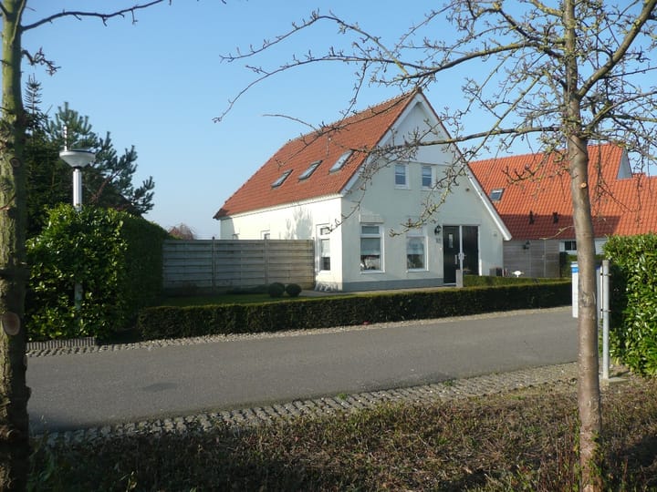 Photo 2 of Zilvermeeuw 27