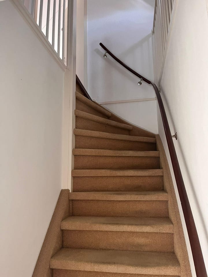 Photo 12 of Zilvermeeuw 27