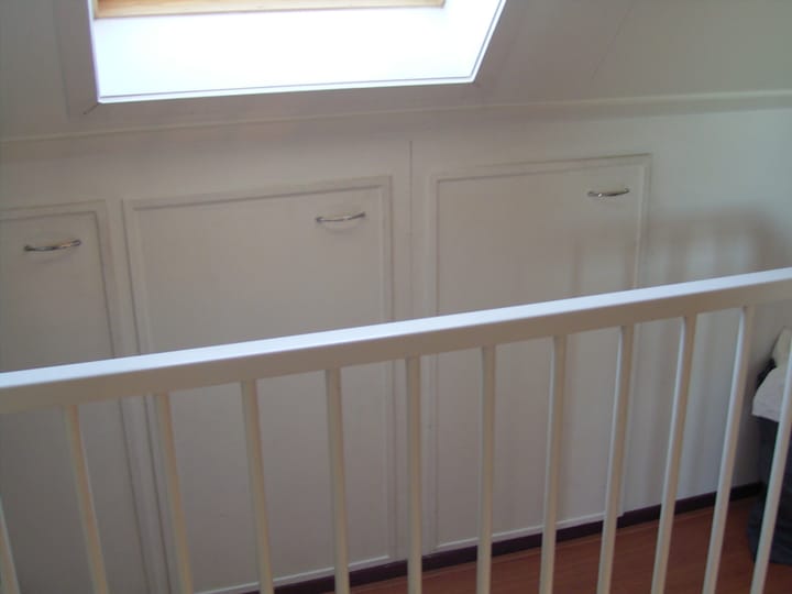 Photo 13 of Zilvermeeuw 27