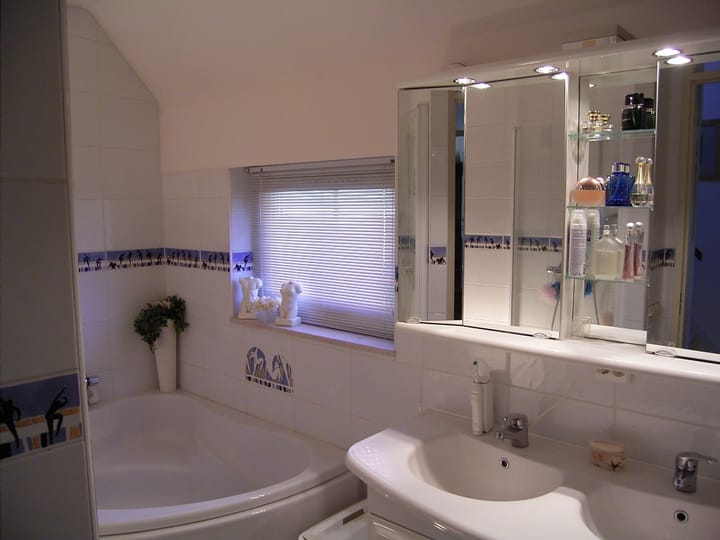 Photo 9 of Zilvermeeuw 27