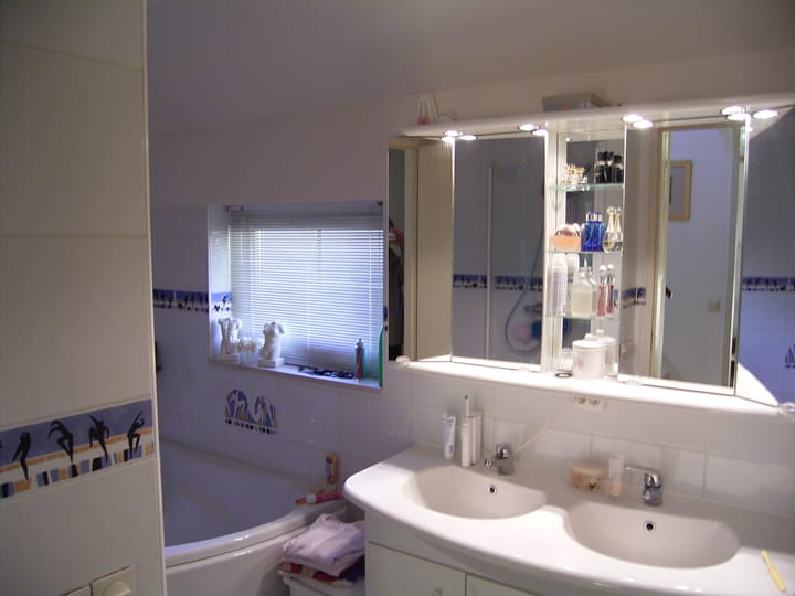 Photo 11 of Zilvermeeuw 27