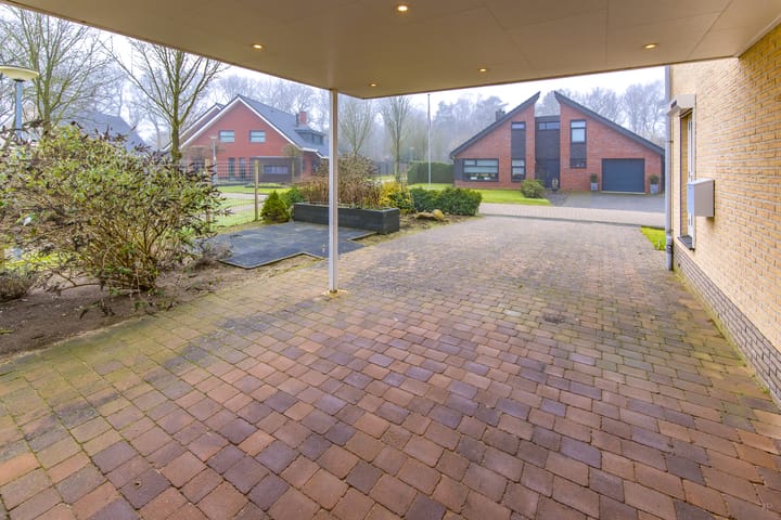 Foto 10 van Blauwgras 15