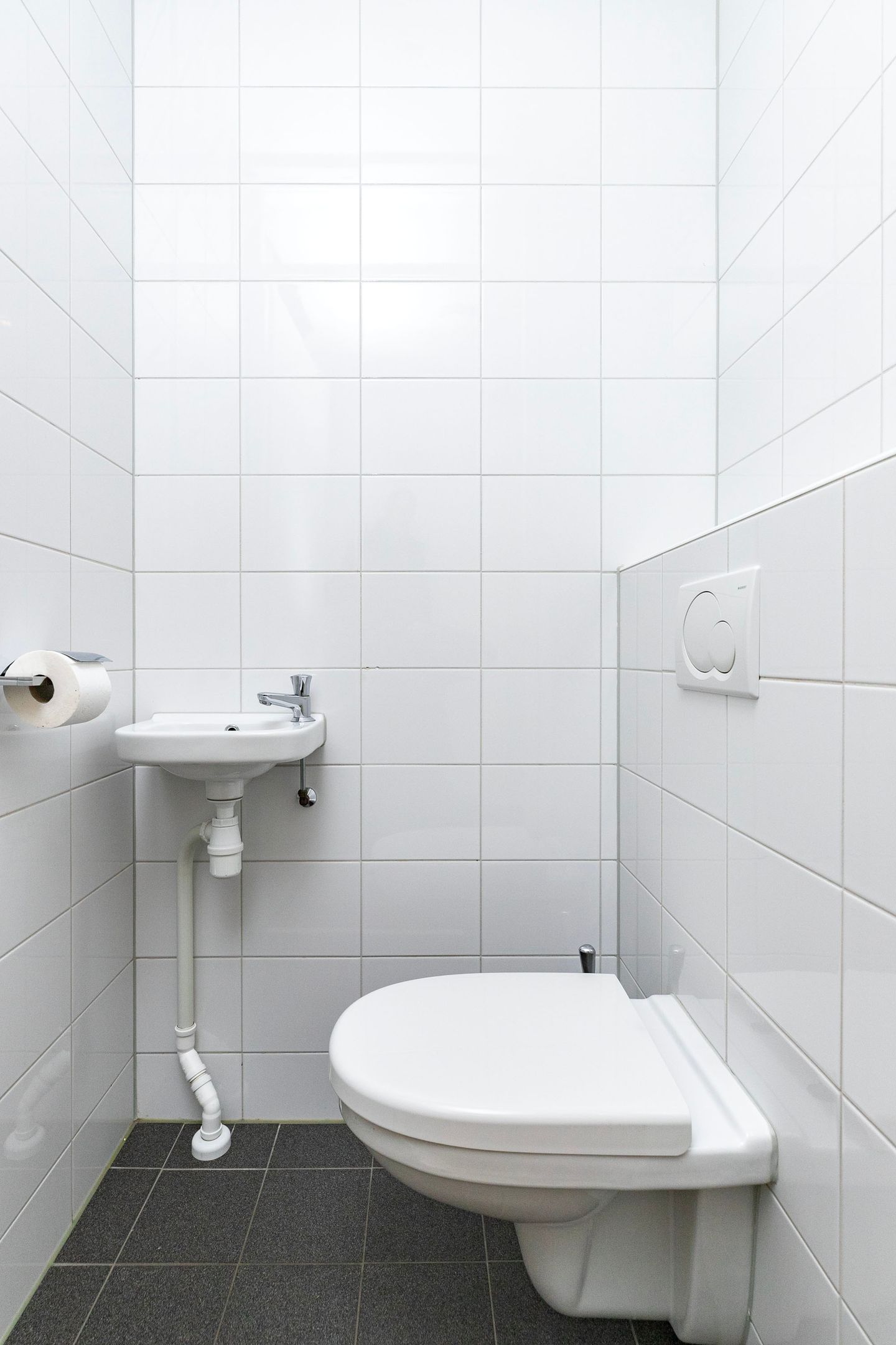 Foto 10 van Hoornwerk 170