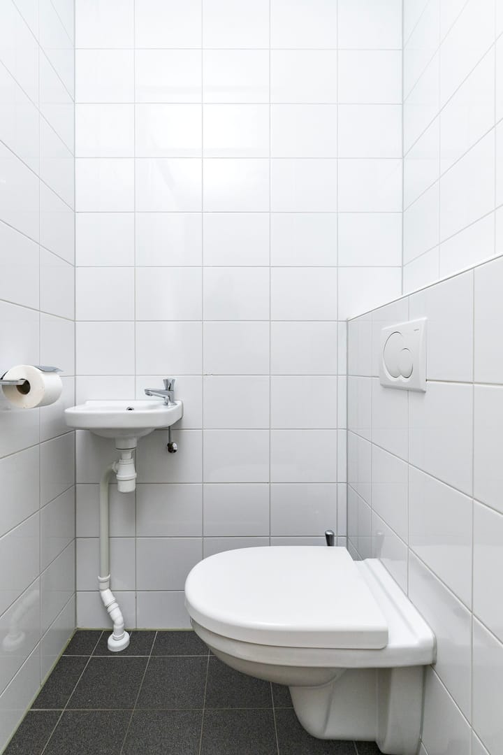 Foto 10 van Hoornwerk 170