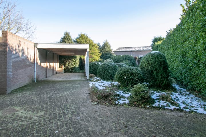 Foto 3 van Steer 1-A