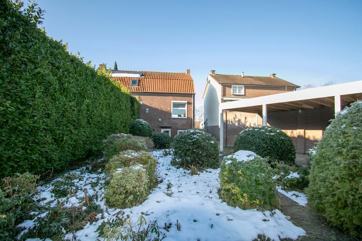 Foto 29 van Steer 1-A