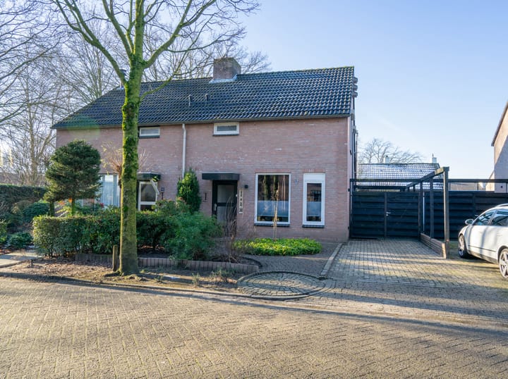 Foto 49 van de Helling 38