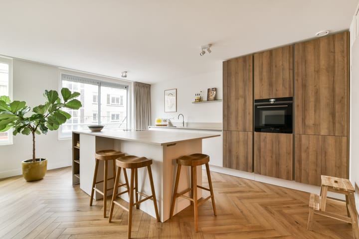 Foto 5 van Ferdinand Bolstraat 123-E