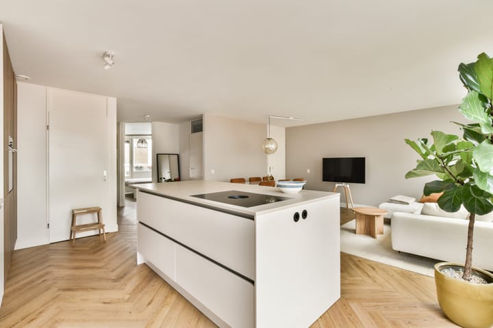 Foto 7 van Ferdinand Bolstraat 123-E