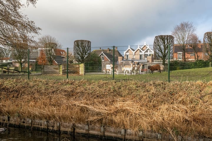 Foto 39 van Graaf Willemstraat 19