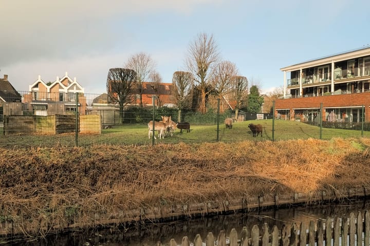 Foto 40 van Graaf Willemstraat 19