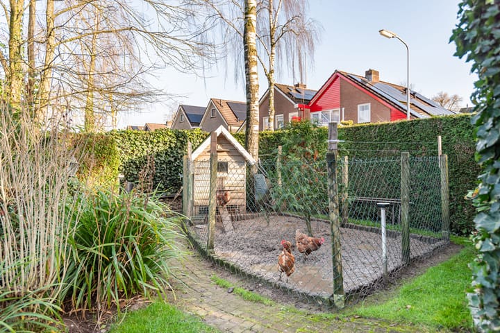 Foto 44 van Rozenstraat 41