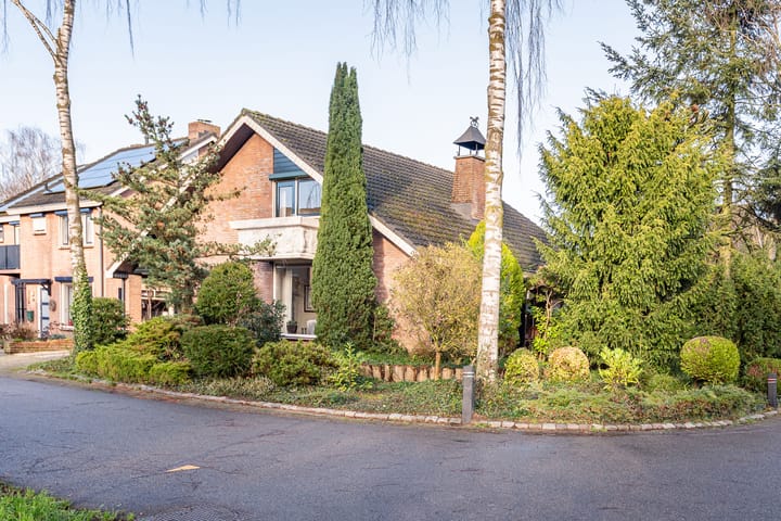 Foto 48 van Rozenstraat 41