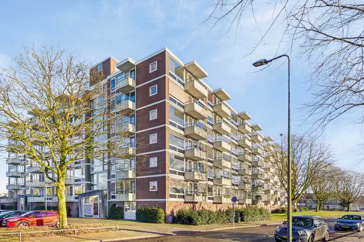 Foto 2 van Pedro Cabralstraat 89