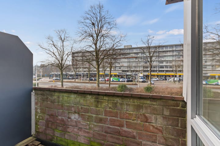 Foto 5 van Tholenseweg 16