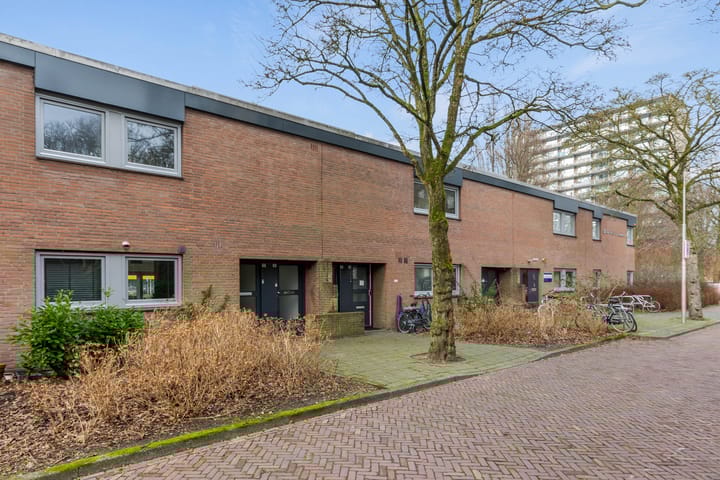 Foto 19 van Tholenseweg 16