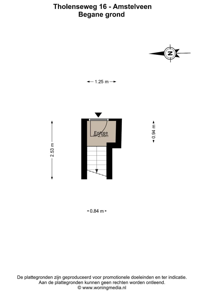Foto 21 van Tholenseweg 16