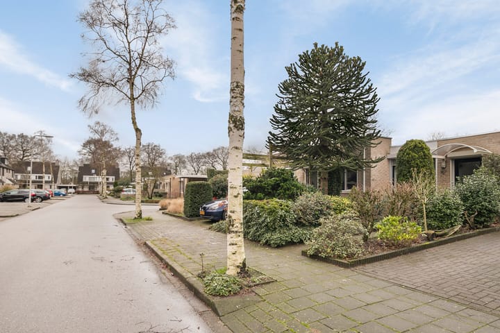 Foto 21 van Pienemanstraat 92