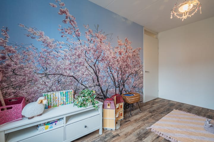 Foto 30 van Bertus Aafjeslaan 20