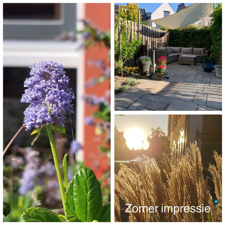 Foto 49 van Bertus Aafjeslaan 20