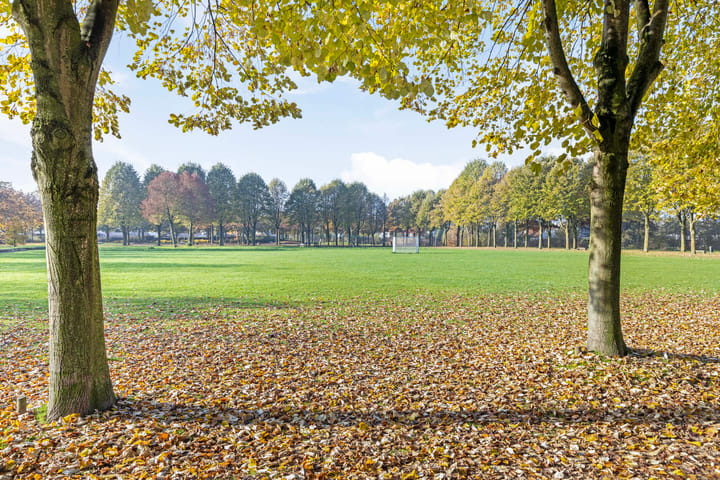 Foto 39 van Beltmolen 90