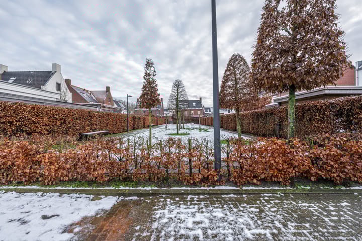 Foto 36 van Libellenlaan 62