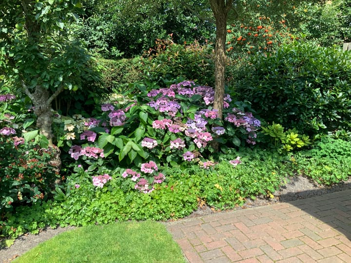 Foto 52 van Natuurschoonweg 31