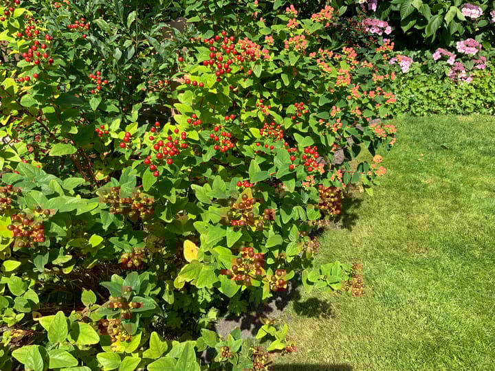 Foto 53 van Natuurschoonweg 31