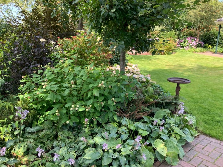 Foto 55 van Natuurschoonweg 31