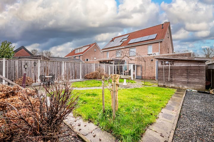 Foto 36 van de Wieken 5