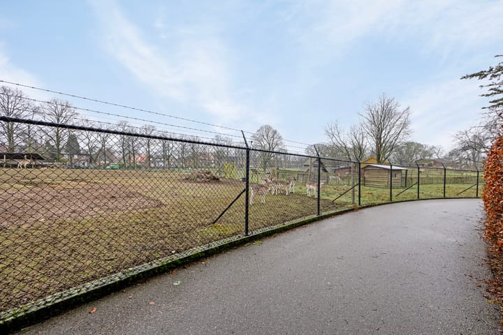 Foto 37 van Muntweg 442