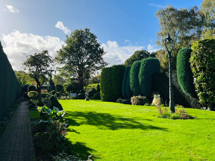 Foto 4 van Berkenstraat 12-A