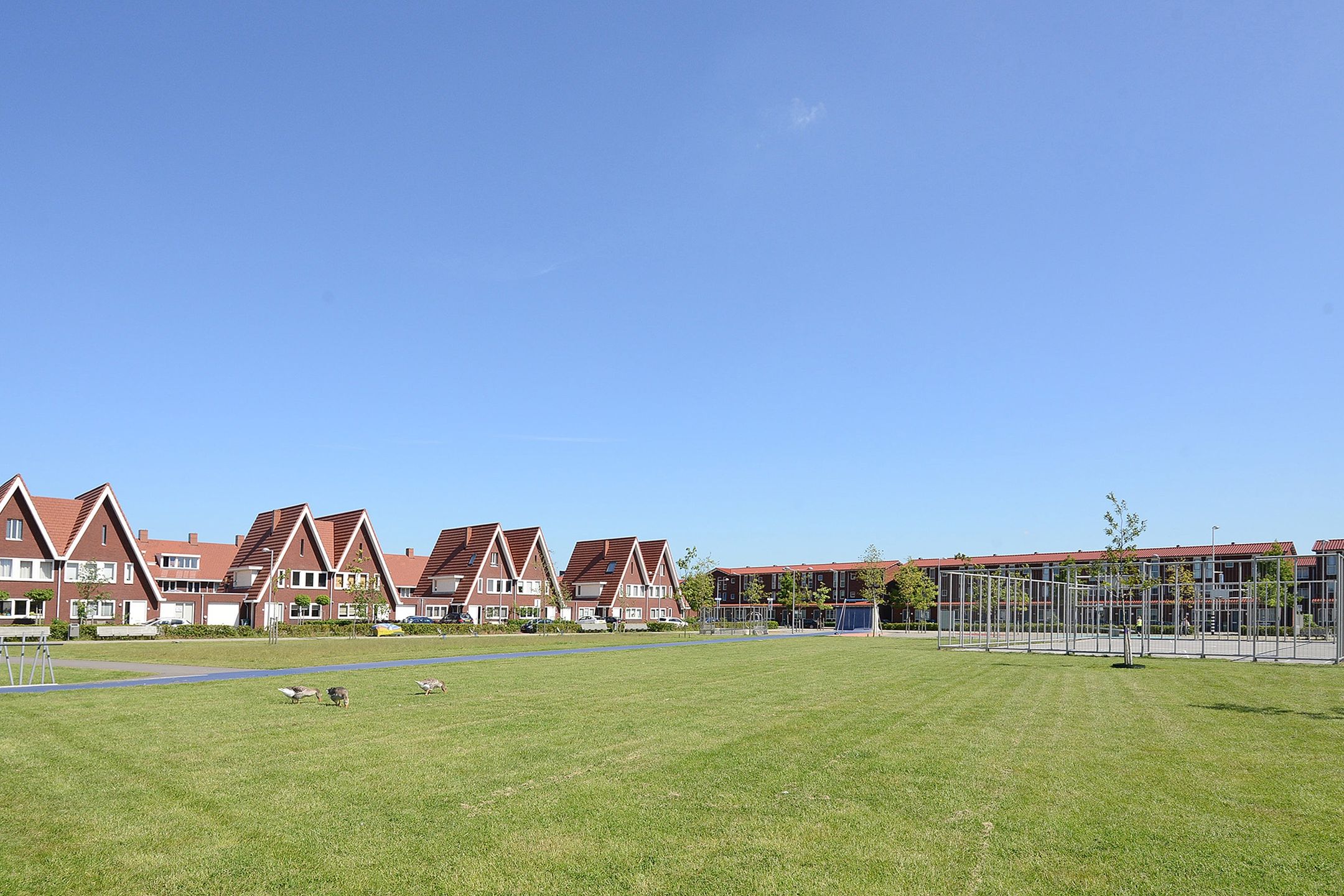 Foto 42 van Meijepolderstraat 14